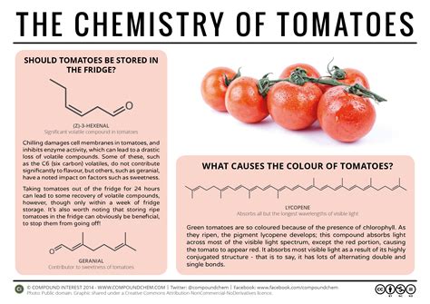 A taste of decay: Exploring the flavor of decomposing tomatoes
